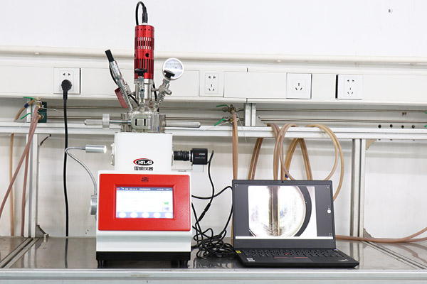 带侧视窗的尝试室微型高压反映釜